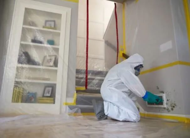 Mold Remediation 2