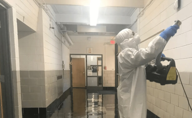 Mold Remediation 3